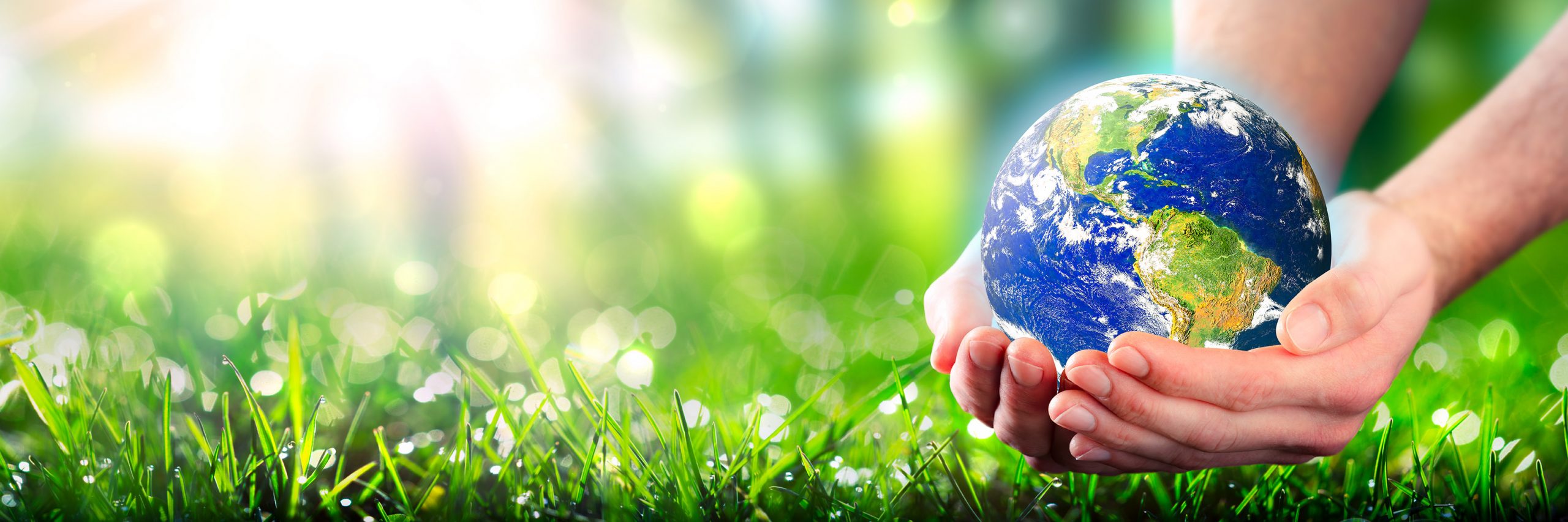 Hands Holding Planet Earth In Lush Green Environment & Sunlight